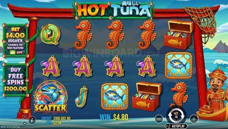 A Beginner's Guide to Live Casino